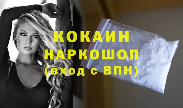 прущие грибы Новокубанск