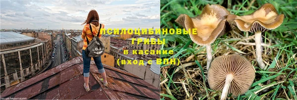каннабис Новозыбков