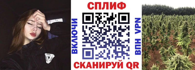 Шишки марихуана AK-47  сколько стоит  Минусинск 